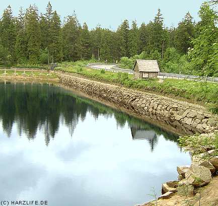 Der Oderteich