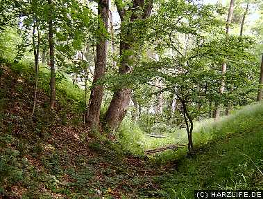 Burggraben der Güntersburg